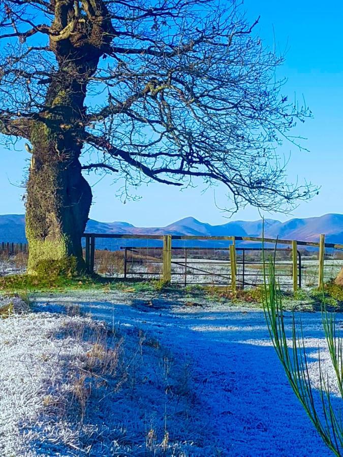 Finn Village - Loch Lomond Villa B&B - Black Room With Jacuzzi-Style Bath 格拉斯哥 外观 照片